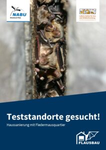 Infoflyer FLAUSBAU